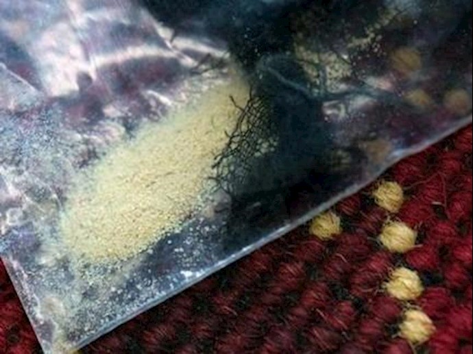 ألمانيا تضبط أکبر شحنة هيروين إيرانية ب50 مليون يورو