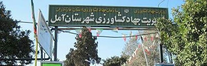 ايران ـ تجمع احتجاجي لملاکات وعمال صناعة المواشي والدواجن في مدينة آمل