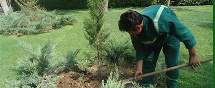 ايران- اضراب عدد من عاملي الزراعة في بلدية طهران
