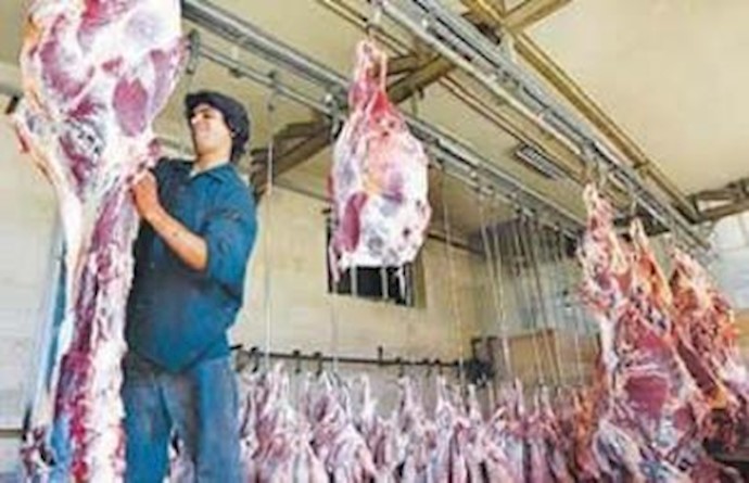 اضراب عدد من الجزارين في بندرعباس