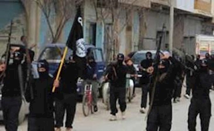 56 % من معارک داعش.. ضد الثوار المعارضين لنظام الأسد