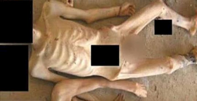 55 ألف قطعة صورة من 11 ألف ضحية من ضحايا نظام الأسد يتم تقديمها في الکونغرس الأمريکي