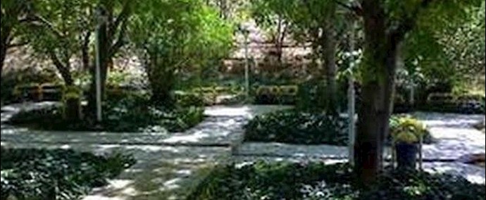 ايران.. اشتباک شباب مع عناصر البسيج في متنزه کلستان بمدينة شيراز