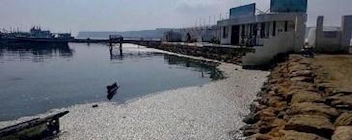 معصومة ابتکار: إيران تحتل الرتبة الأولی في العالم من حيث الإضطرابات المائية