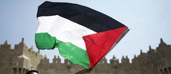 سی.ان.ان: رفع العلم الفلسطيني في الأمم المتحدة