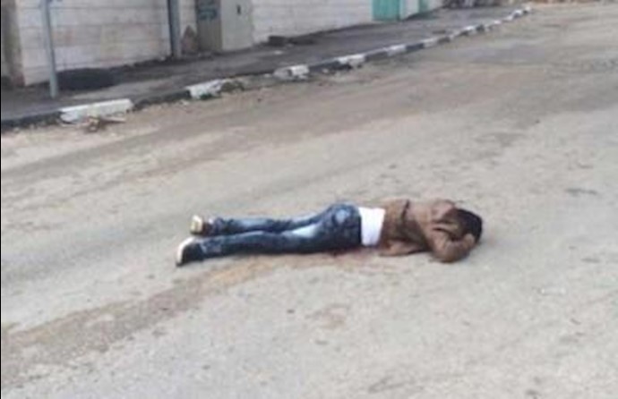 استشهاد فلسطيني بعد طعنه إسرائيليا في الخليل وقوات الاحتلال تستخدم الکلاب لملاحقة راشقي الحجارة في القدس