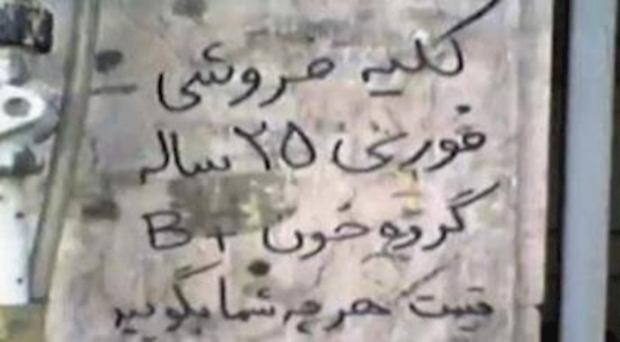 ماذا تسمون هذا النوع من السوق؟