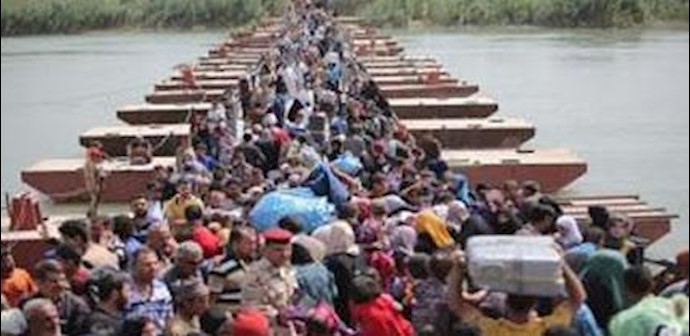 وحدة الجميلي: هناک من يکفل النازحين لقاء مبالغ تصل الی 700 دولار