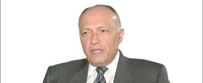 وزير خارجية مصر: القوة العربية المشترکة خلال 4 أشهر