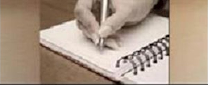 نساء إيران ينتصرن لفريناز خسروي