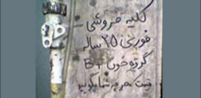 هذا هو الجانب المظلم لتجارة الأعضاء في إيران