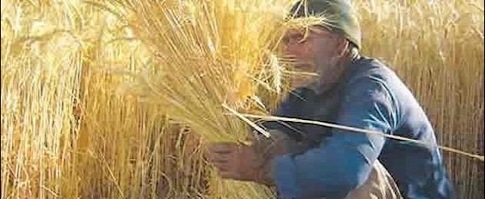 إيران.. مظاهرات المزارعين في مدينة أراک ضد حرق المزارع من قبل عناصر النظام