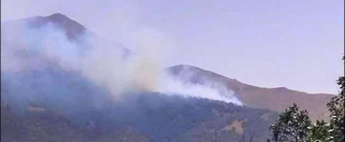 ايران.. حرائق تلتهم 8 هکتارات من مراتع الغابات في بانه