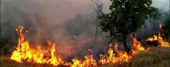 إيران.. اندلاع الحريق في غابات بلوط بمدينة مريوان إثر مناورة عسکرية لنظام الملالي
