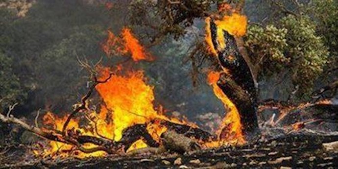 ايران.. حرائق تبتلع 7 آلاف متر من غابات قرية سيج في آستارا شمالي ايران