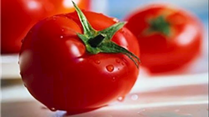 ايران ..ارتفاع أسعار الطماطم 100بالمئة