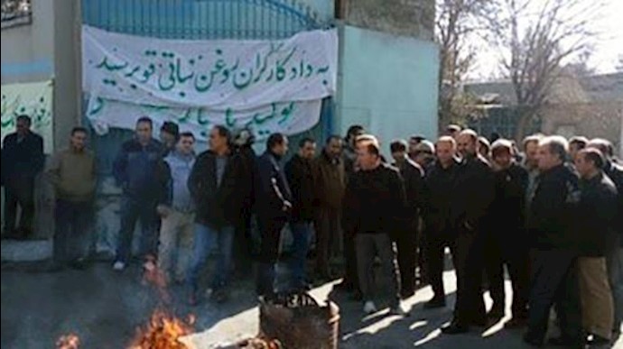 إيران.. تجمع احتجاجي لعمال معمل «قو» لانتاج الزيت النباتي وإشتباک مع مأموري القمع في طهران