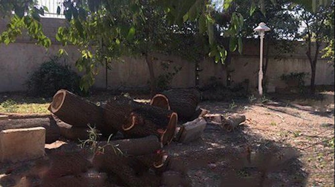 إيران.. احتجاج طلاب مدينة کازرون وتعطيل المحاضرات