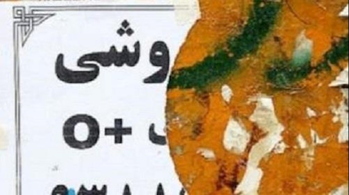 ايران.. بيع الکلی في الانترنت
