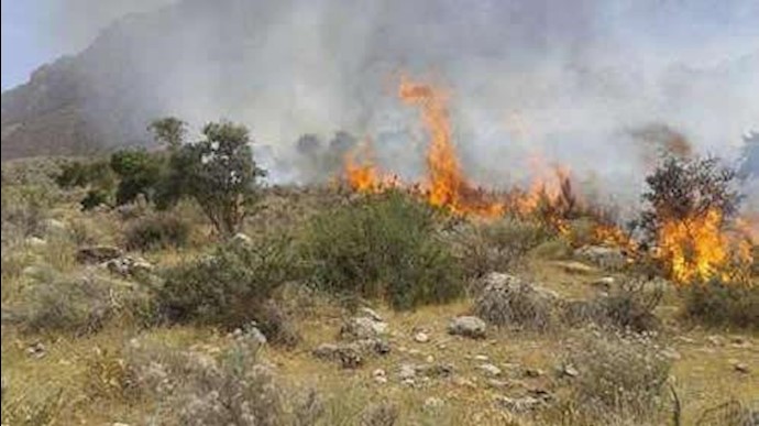 إيران .. حريق في غابات محافظة غلوستان
