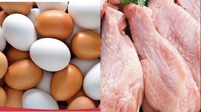 ايران .. ارتفاع سعر الدجاج والبيض