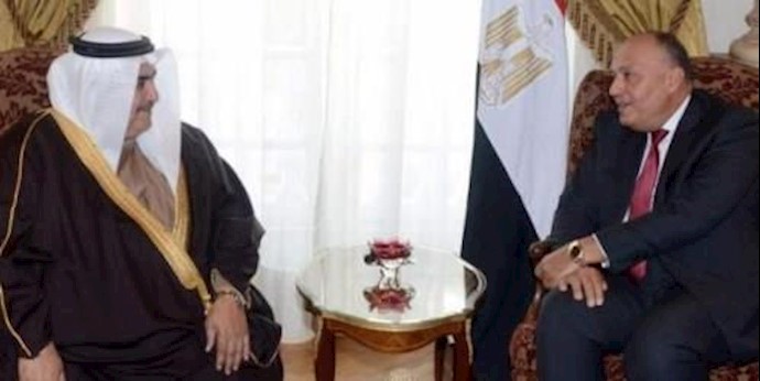في مقدمتها الأوضاع في سوريا واليمن وليبيا وفلسطين