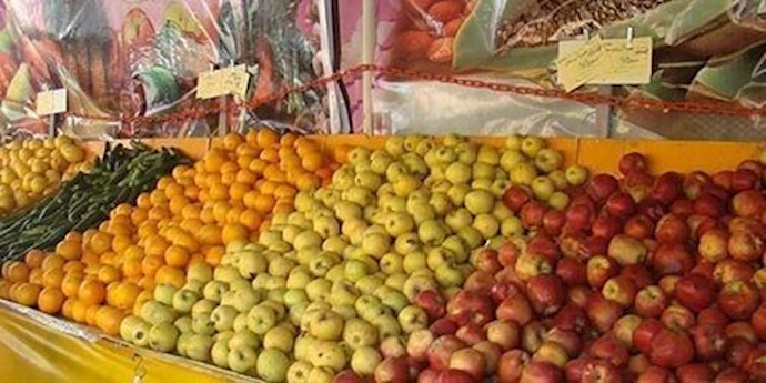 غلاء أسعار البرتقال في السوق بنسبة 110%