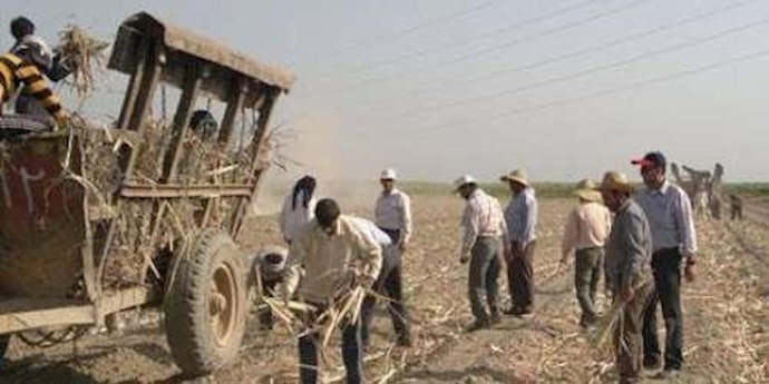 تجمع احتجاجي لعمال مجمع هفت تبة للقصب السکري