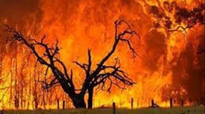 إيران..أکثر من 2500هکتار من اشجار بأعمار200سنة يبتلعها الحريق في منطقة «باسارکاد»