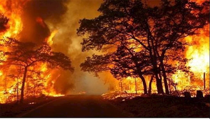 نشوب الحريق في المنطقة المحمية في کرمانشاه يخلف خسائر