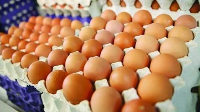 إرتفاع أسعار البيض في طهران