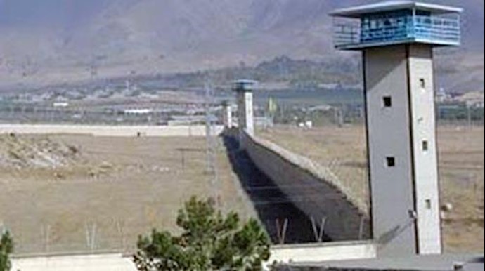 ايران.. برد قارس في سجن جوهردشت بمدينة کرج