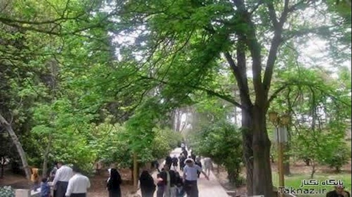 تلف محاصيل أصحاب البساتين في شمال ايران