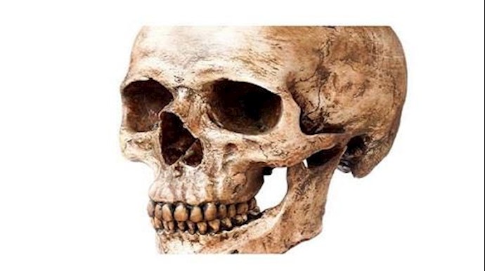 جمجمة تکشف أسرارا عن الجنس البشري وتسونامي!