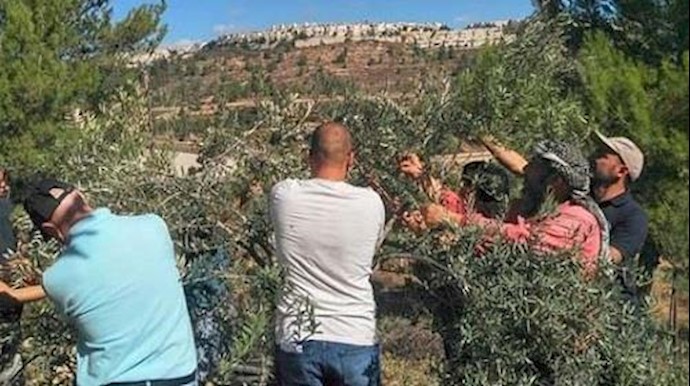 بريطانيا: ندعم حق الفلسطينيين للوصول إلی أراضيهم