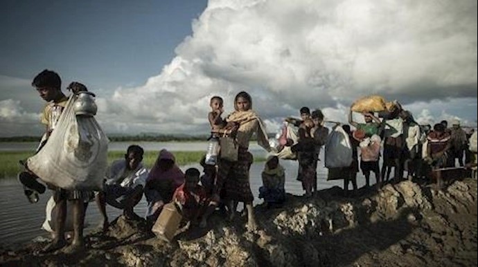 بعد إجبارهم علی الفرار.. حکومة ميانمار تحصد حقول "الروهينجا"