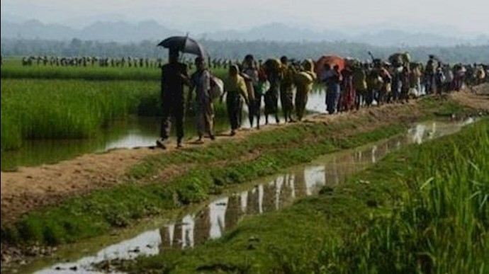 مسؤول أميرکي يحث بورما علی إعادة الروهينغا إلی قراهم