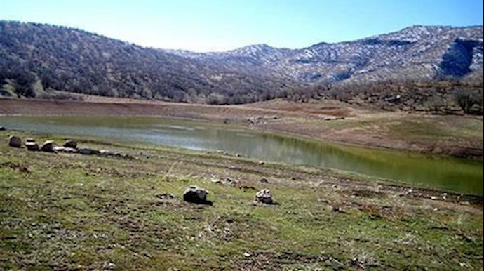 نفوق 80 بالمئة من الحيوانات في ايران في ظل حکم الملالي