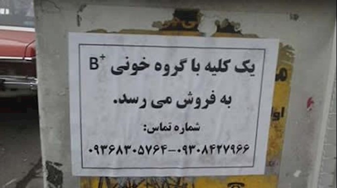 إيران: امرأة شابة تضع کليها للمزايدة