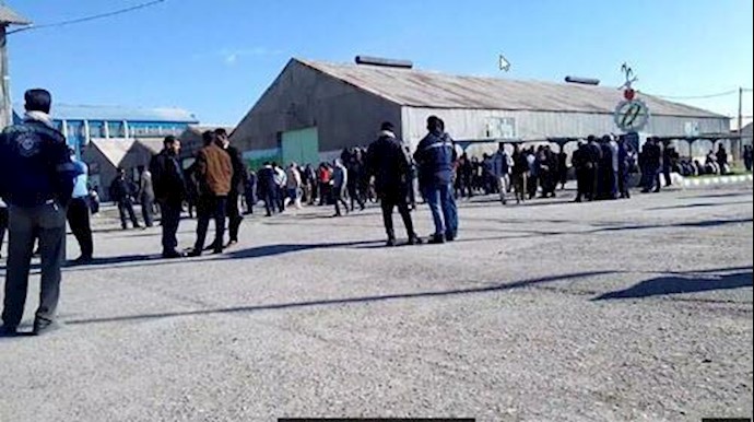 إيران .. تجمع احتجاجي لعمال معمل هفت تبه لقصب السکر لليوم الثالث علی التوالي + فيديو