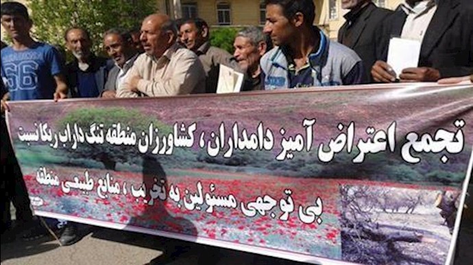 إيران..تجمع احتجاجي لعدد من أصحاب المواشي والمزارعين في مدينة کوهدشت