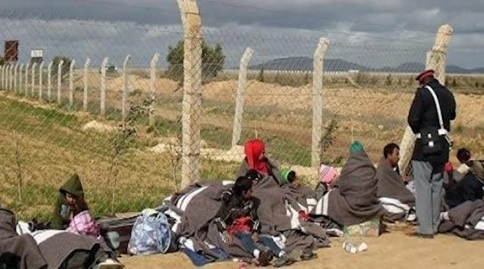 شاهد بالفيديو کيف هاجمت الأفاعي والعقارب سوريين عالقين علی الحدود بين المغرب والجزائر