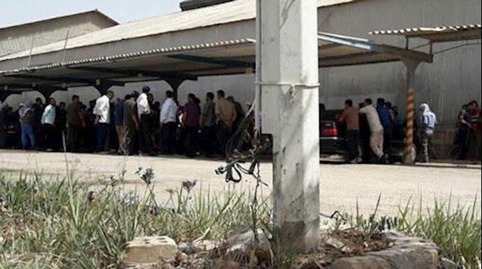 إيران..تقرير عن وضع عمال مجمع قصب السکر في هفت تبه