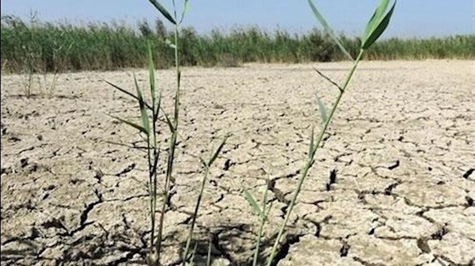 أکثر من ثلثي البرک المائية والأهوار في ايران مهددة بالجفاف