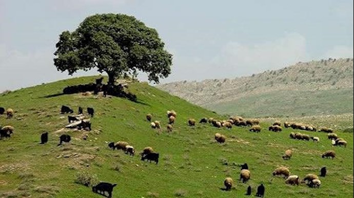 إيران تقصف أربيل العراقية بالمدفعية