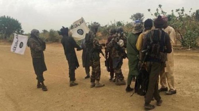 استسلام نحو 70 من مقاتلي بوکو حرام شمال نيجيريا