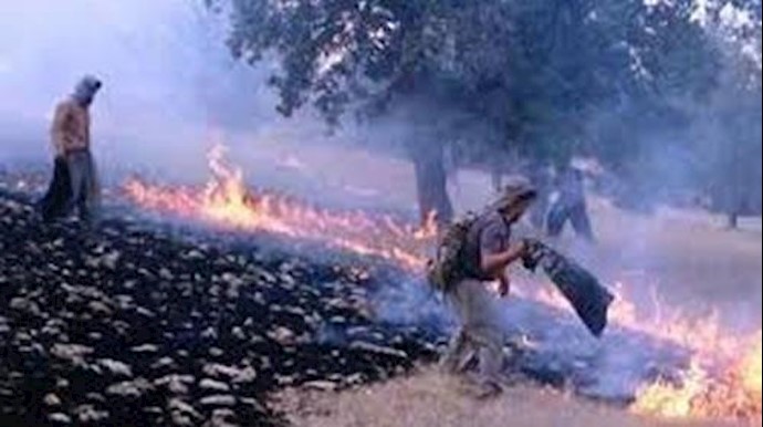 ايران.. استمرار الحرائق في غابات غجساران منذ ثلاثة أيام