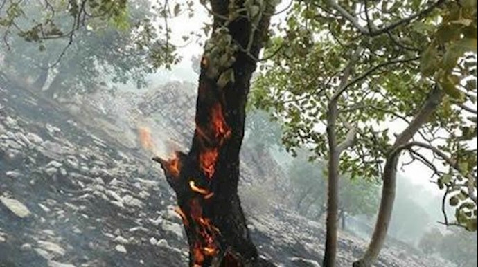 الحريق يبتلع غابات ومراتع في جيلانغرب
