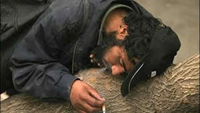 28 بالمئة من المدمنين في ايران يمتلکون شهادات دراسات عليا